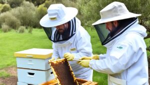 Manuka Honey Regulations